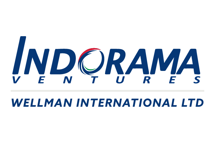 WELLMAN INTERNATIONAL